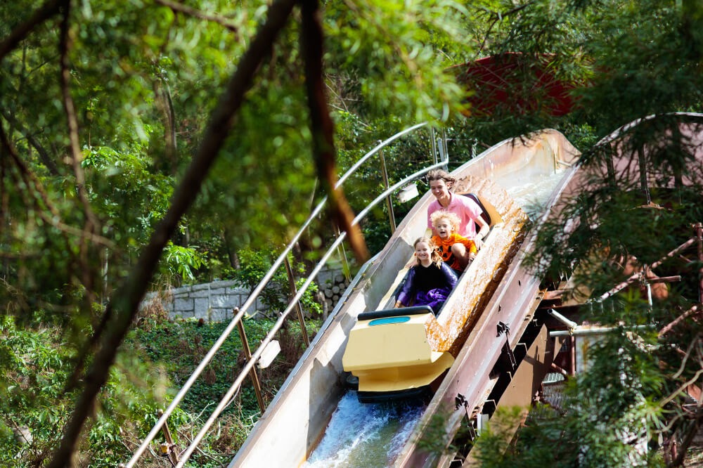Family on log ride