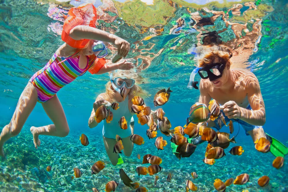 Two kids and an adult snorkel with colorful fish