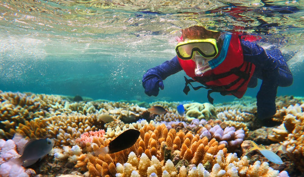 Snorkeler wearing a life jacket in a shallow reef