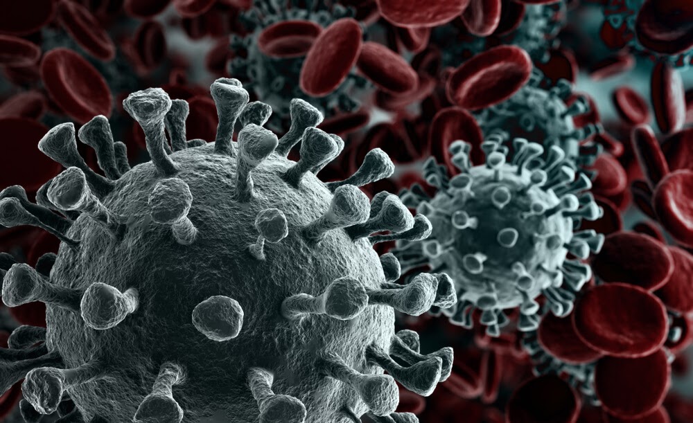 Microscopic image of a virus.