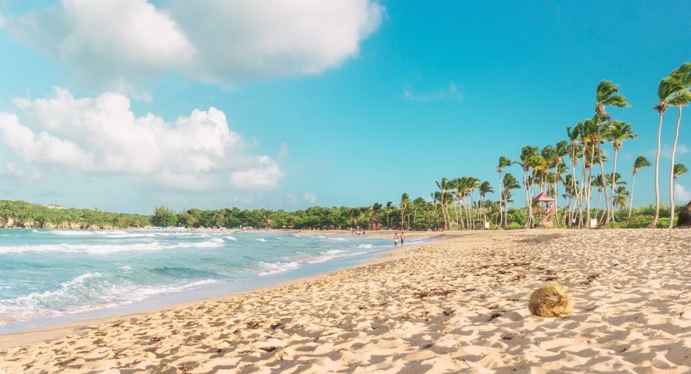 Blue ocean waves and white and beaches. The wind is blowing through the trees.