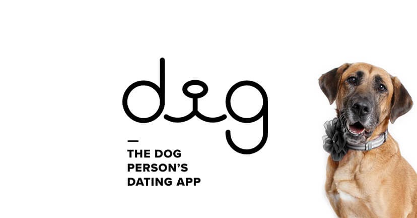 Dig logo with cute dog wearing a black bow.