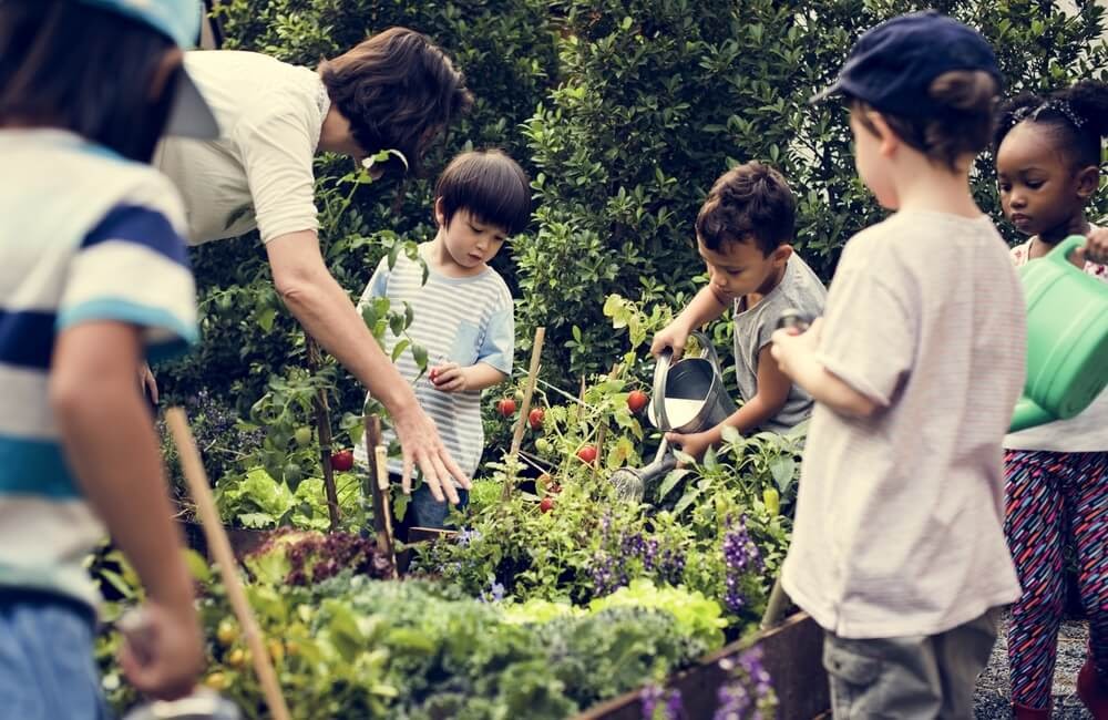 Kids gather around a garden bed and water plants.