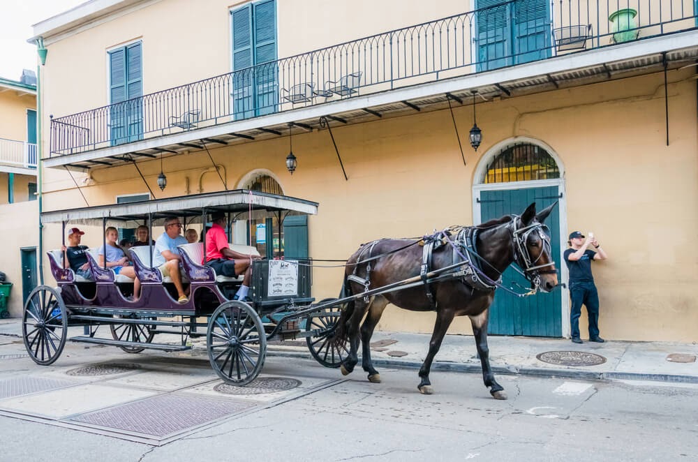 Horse drawn carriage
