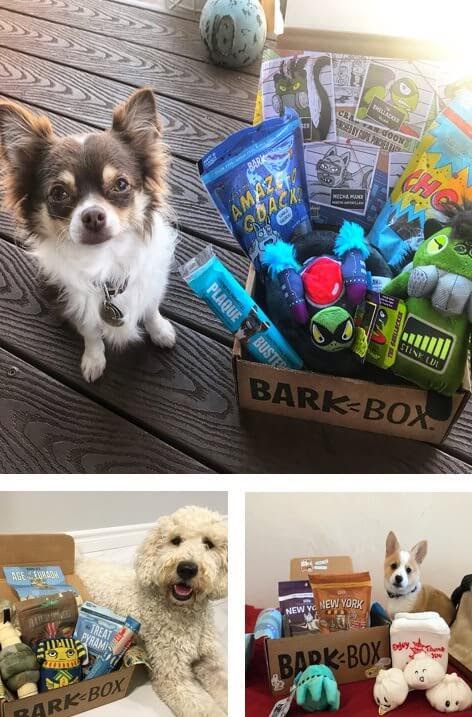 BarkBox subscription box.