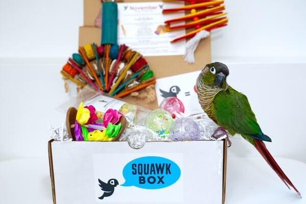 Squawk Box subscription box.