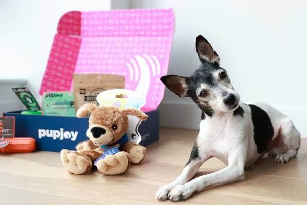PupJoy subscription box.