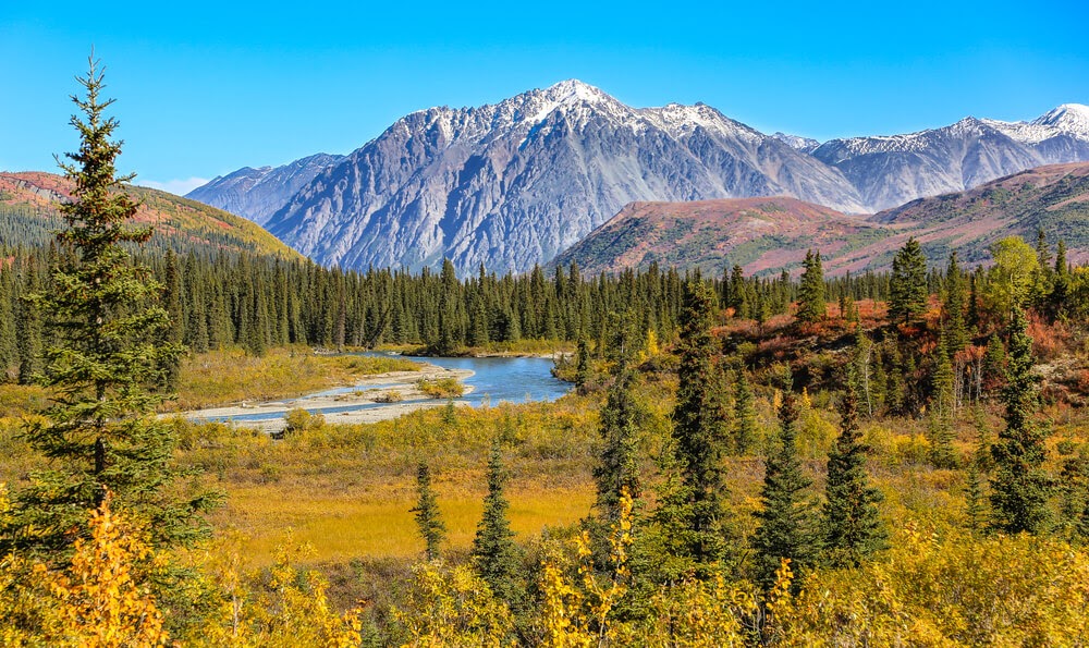 Denali National Park, Alaska