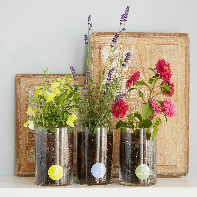 Birth Month Flower Gift Set