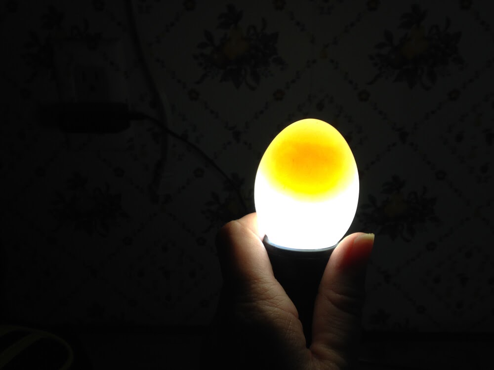 Egg being held over flashlight