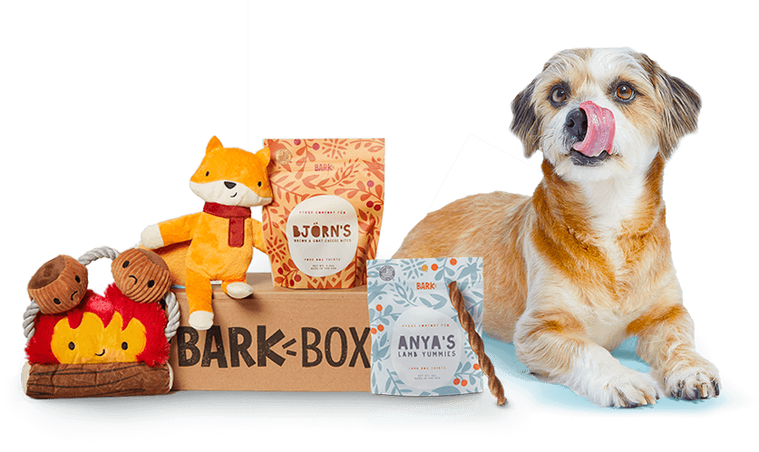 Barkbox subscription box
