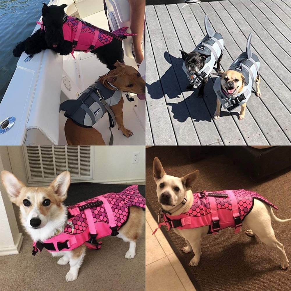 Haocoo Dog Life Jacket