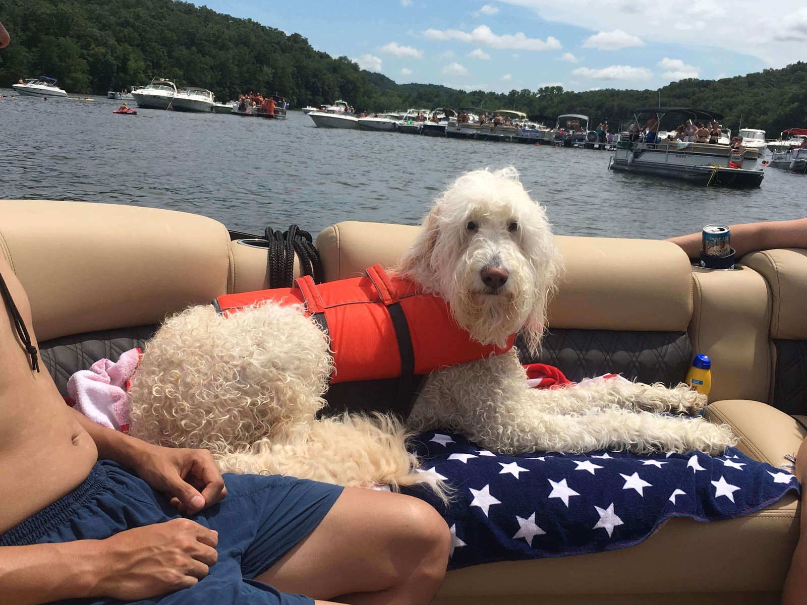 Outward Hound Granby Dog Life Jacket