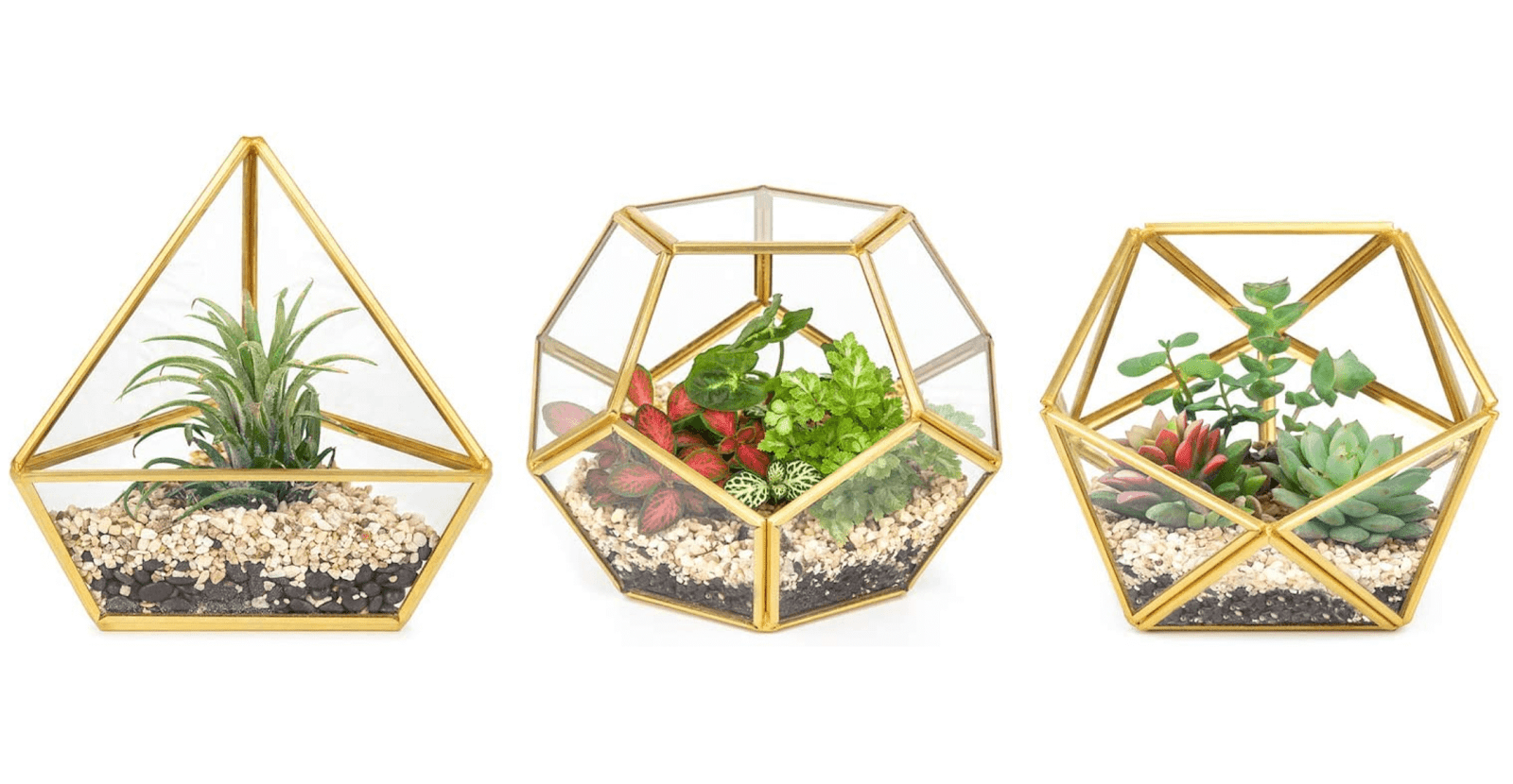 Glass terrarium