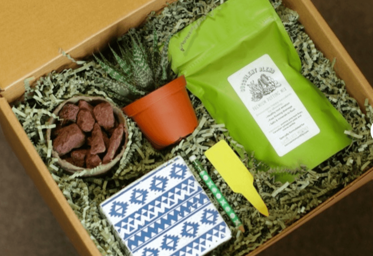 Succulents Monthly Subscription Box