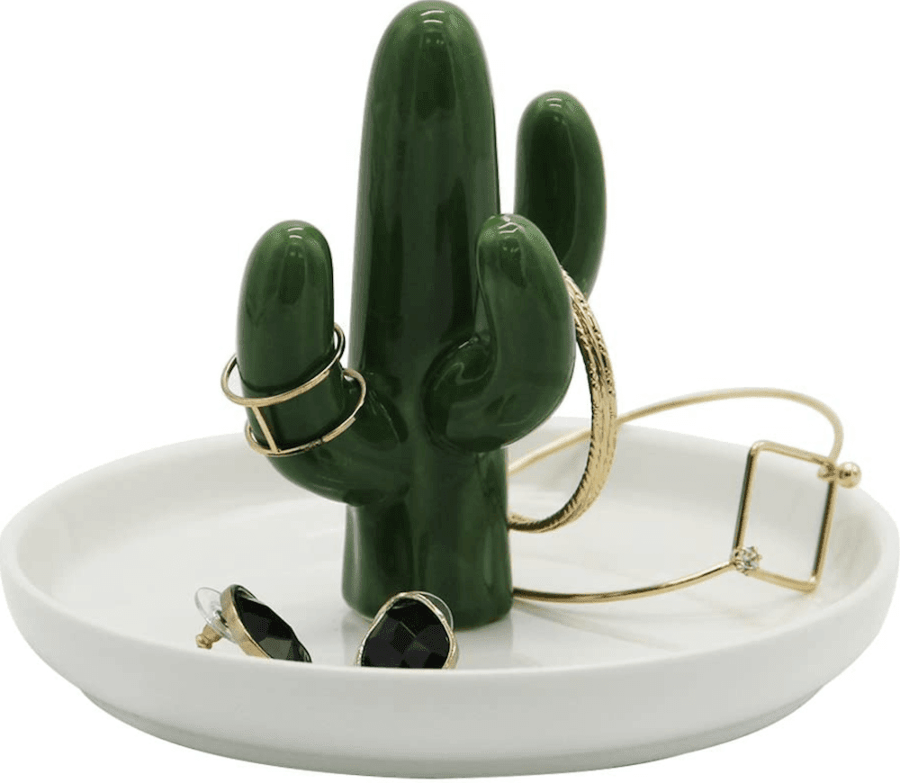 Cactus jewelery holder