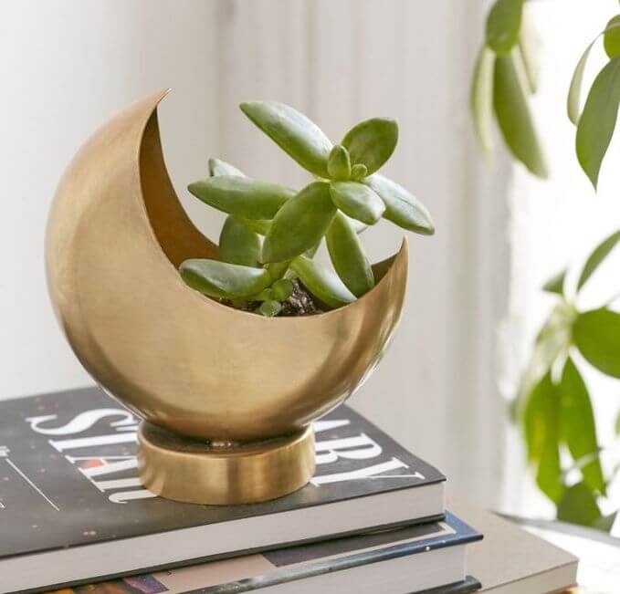 Half Moon Planter