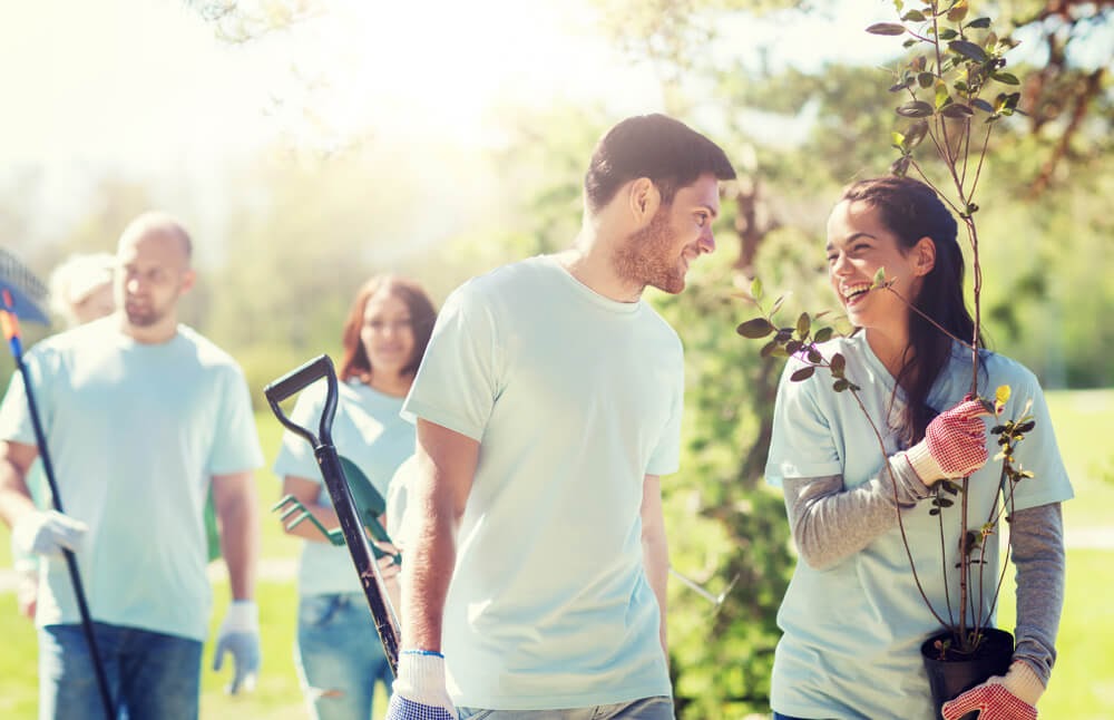 young professionals planting a tree