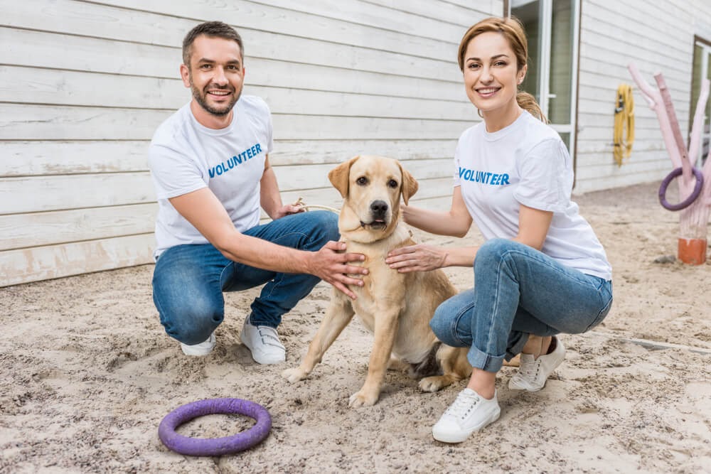 two young professionals volunteering with dog