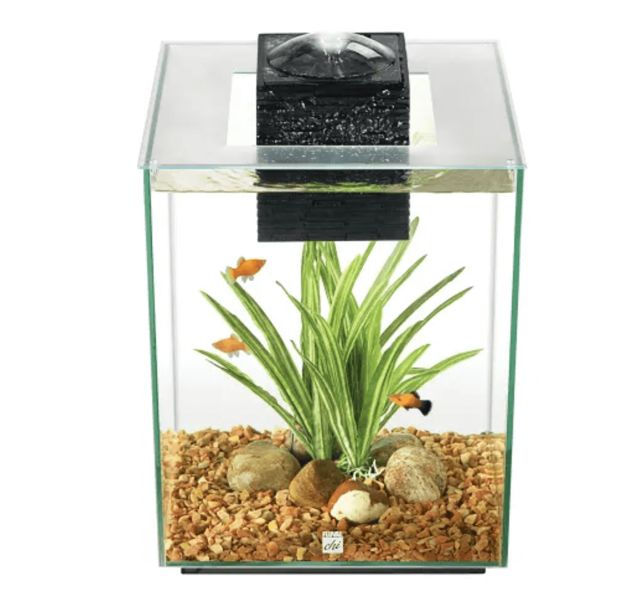 Fish Tank SetupÂ