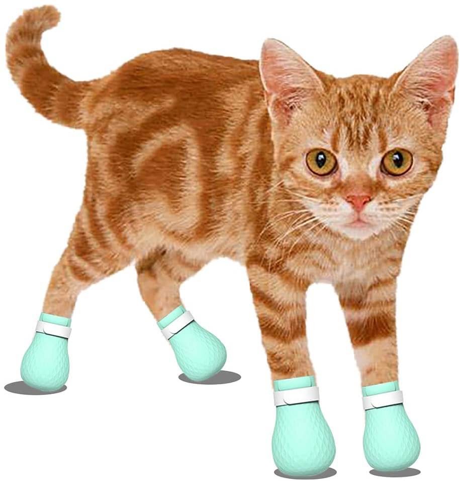 Cat wearing paw covers