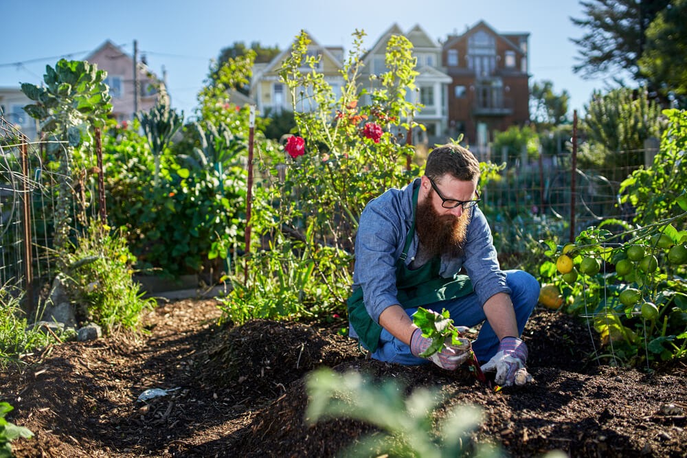 man gardening in soil