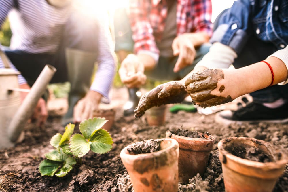 group of people gardening