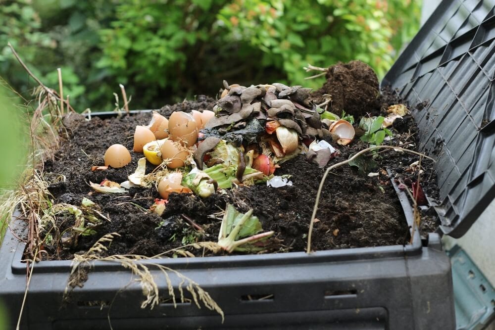 compost with leftover food scraps