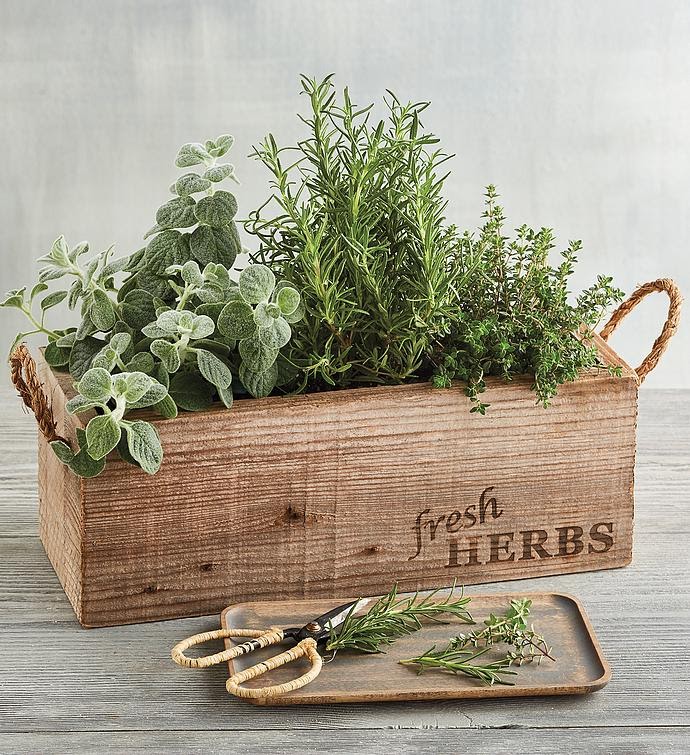 Herb Garden