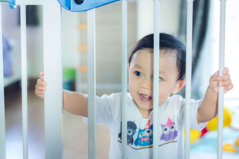 Baby looking through baby gate