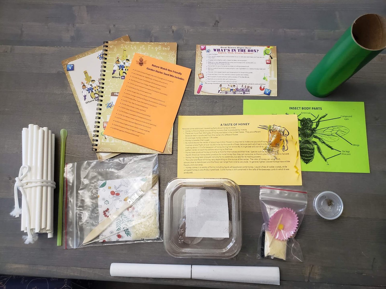 SciKidz Save the Bees box
