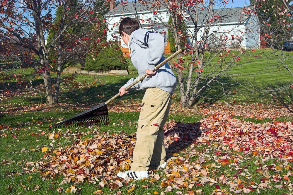 Boy raking up leaves