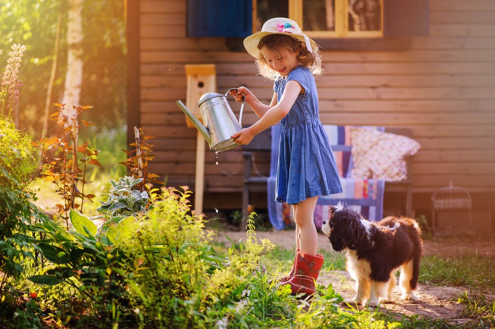 Girl watering some shrubs