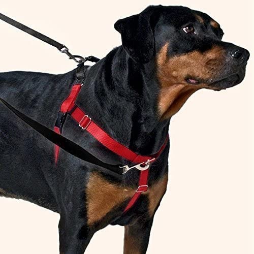 2 Hounds Design Freedom Harness