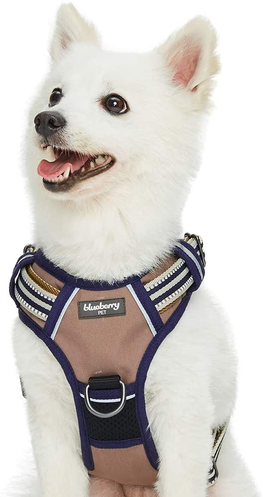 Blueberry Reflective Mesh Padded No Pull Dog Harness Vest