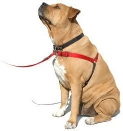 Softouch SENSE-ation No-Pull Dog Harness