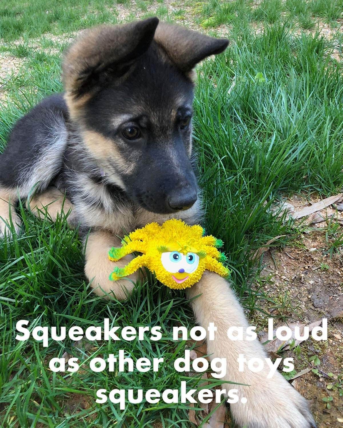 Lucas B Natural Rubber Spider Toy