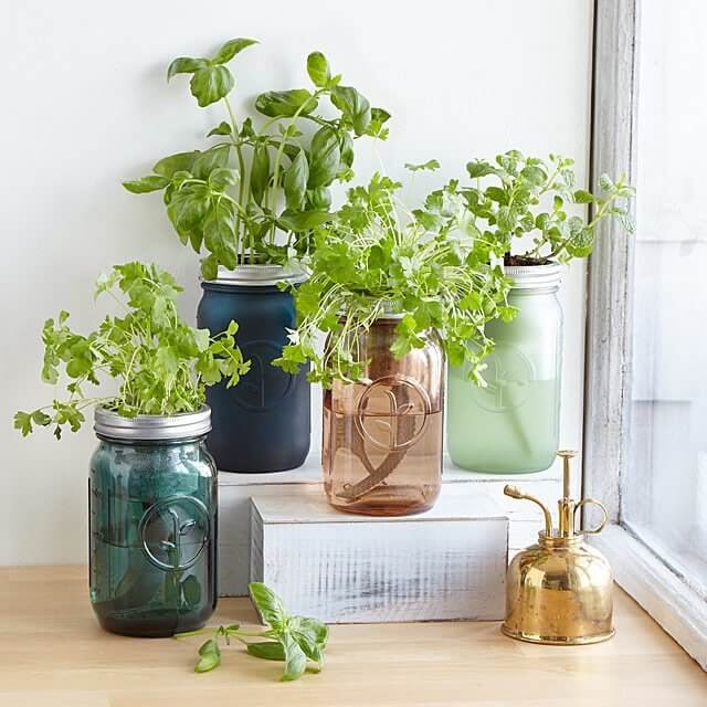 Mason Jar Herb Garden