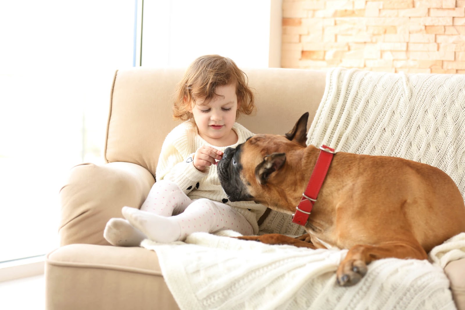 Girl and a boxer on her couch