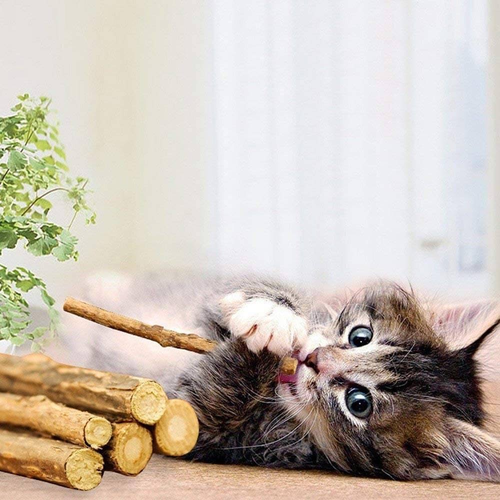 Deyace Catnip Sticks
