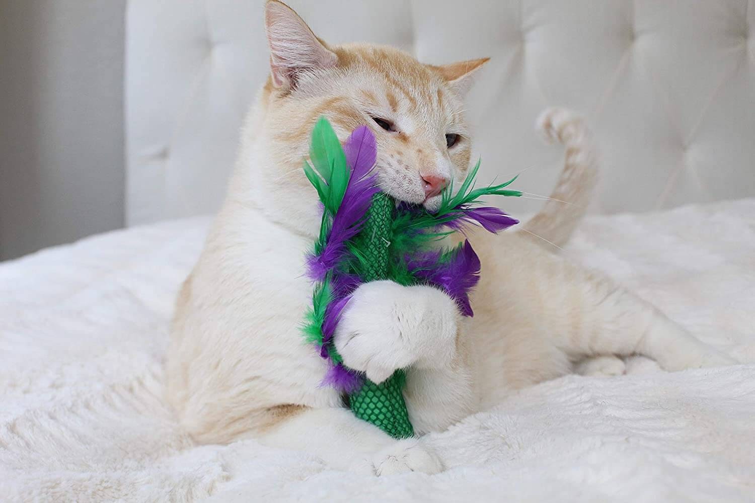 Petstages Catnip Dental Health ChewÂ