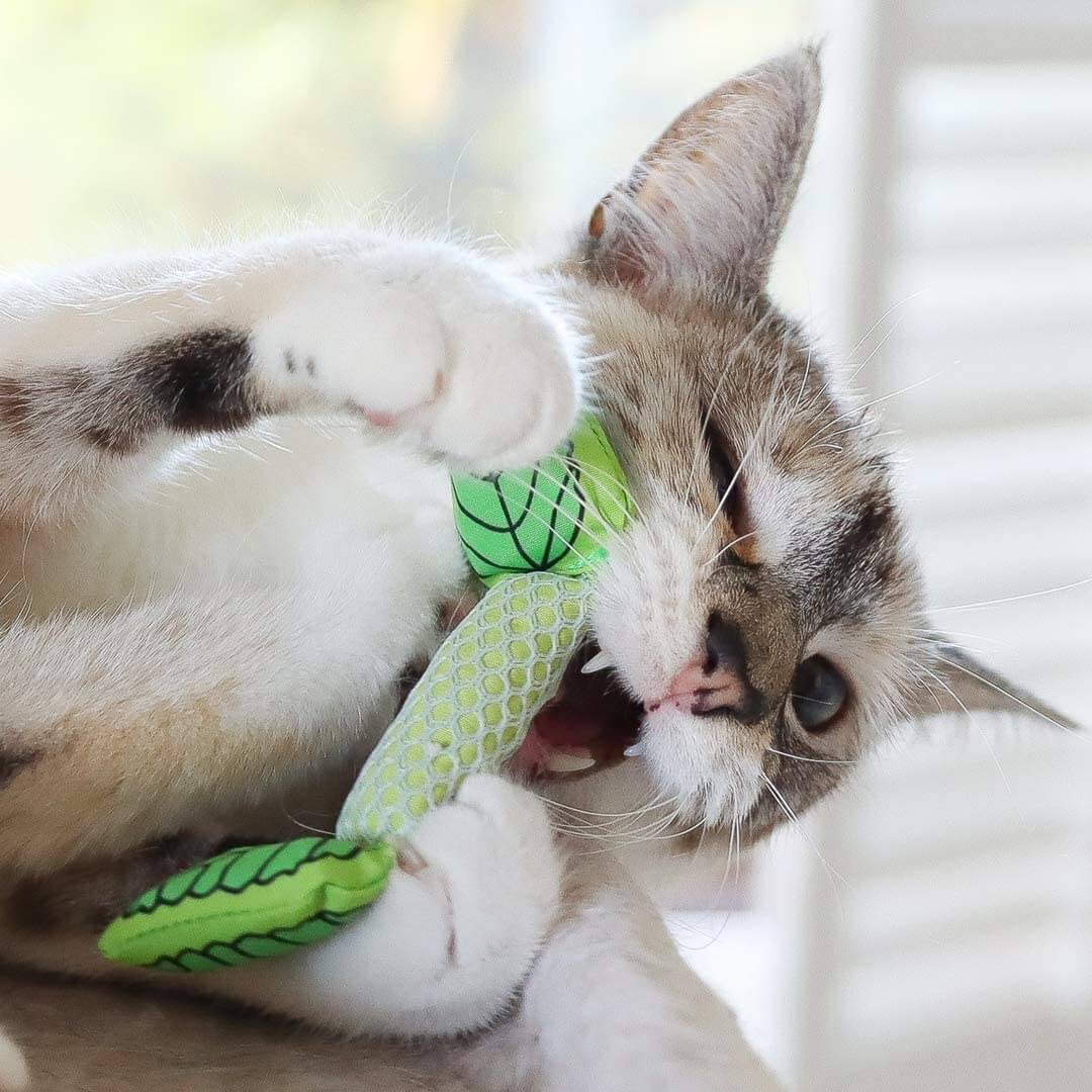 Petstages Dental Mint Stick