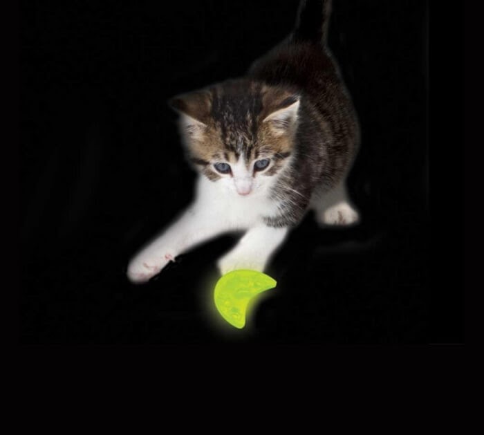 Petstages 742 Nighttime Glow ToyÂ