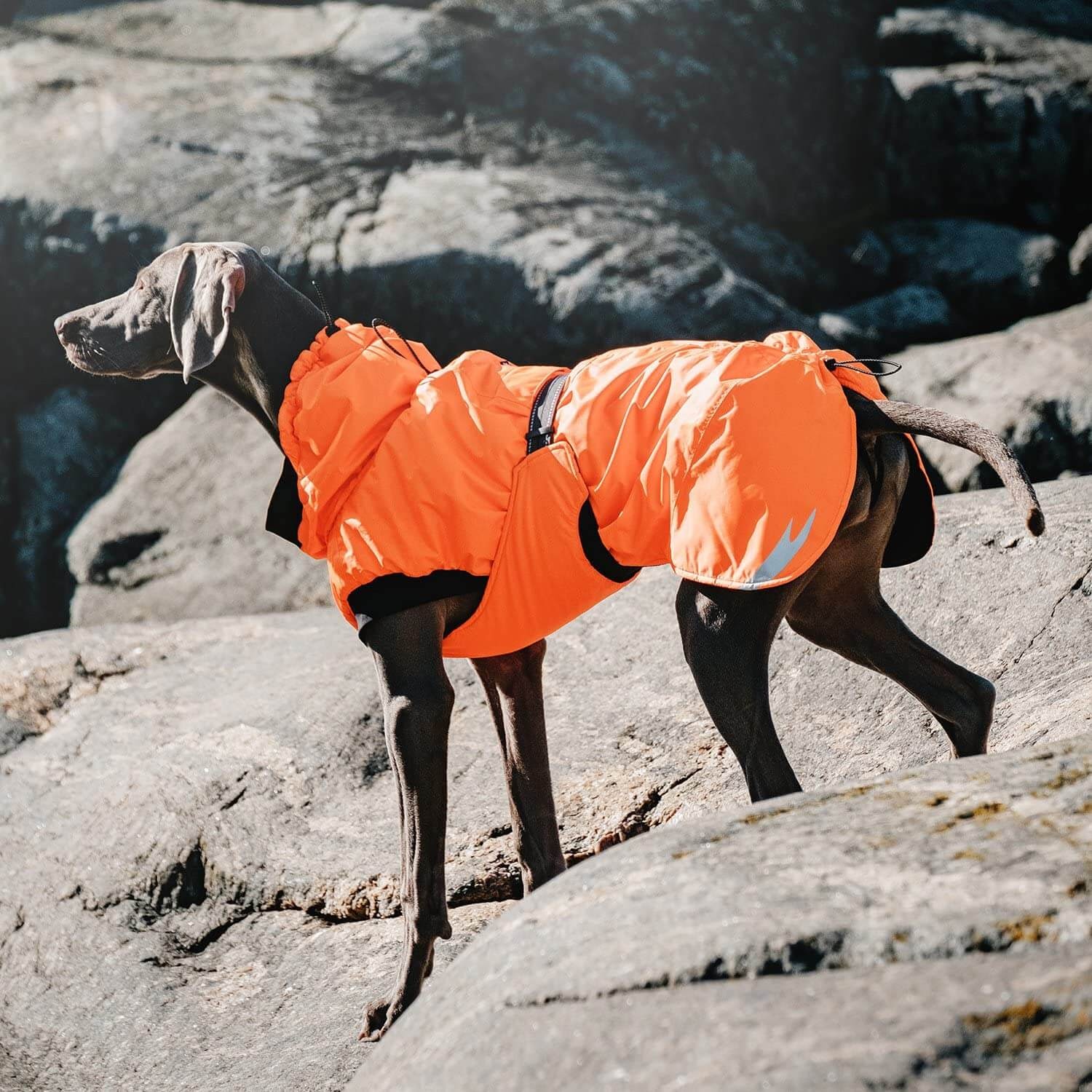 Hurtta Summit Parka