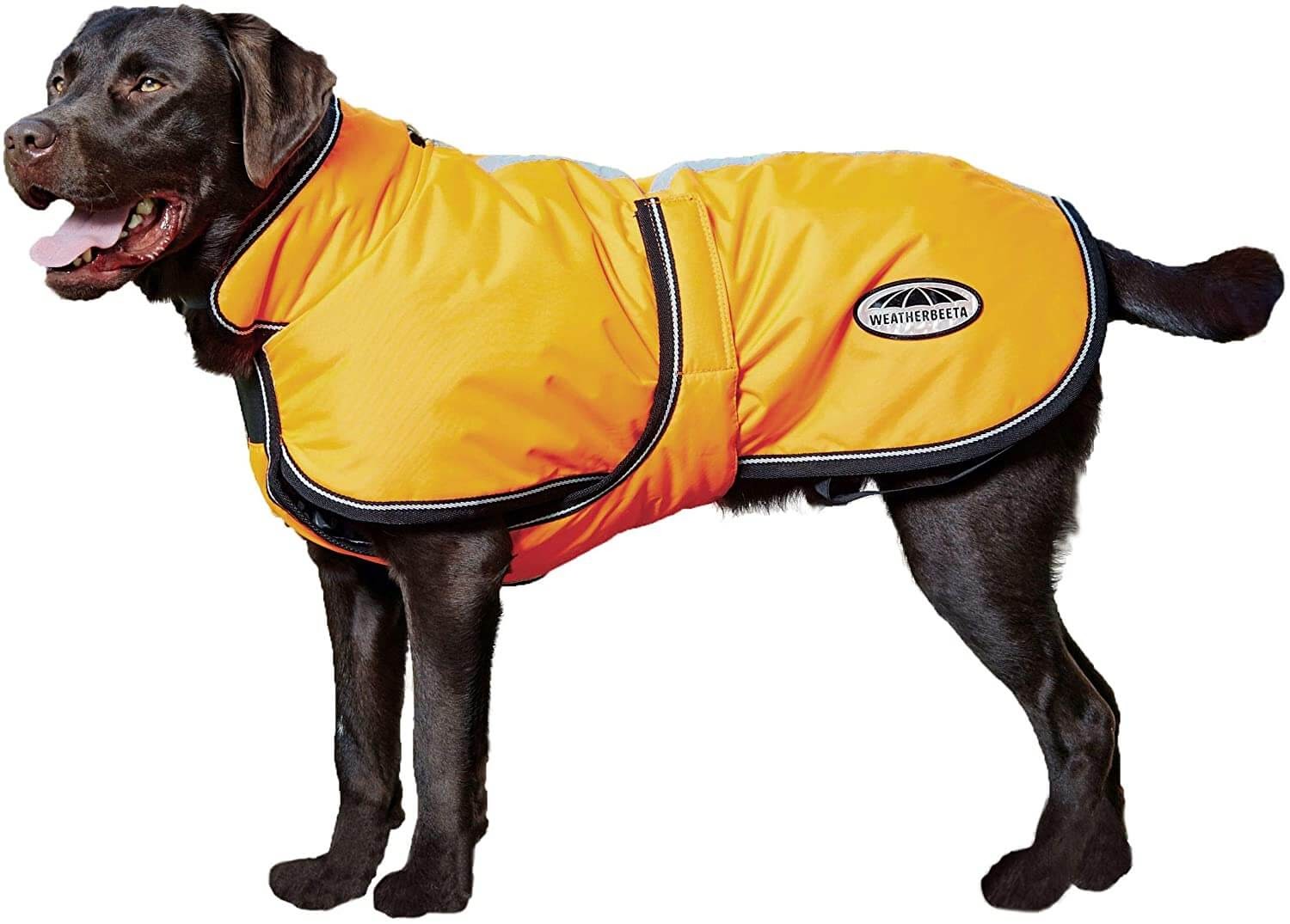 Weatherbeeta Reflective Parka 300D Deluxe Lite Dog Coat