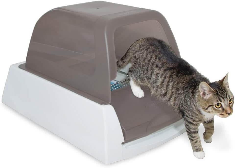 PetSafe ScoopFree Ultra Automatic Self Cleaning Hooded Cat Litte