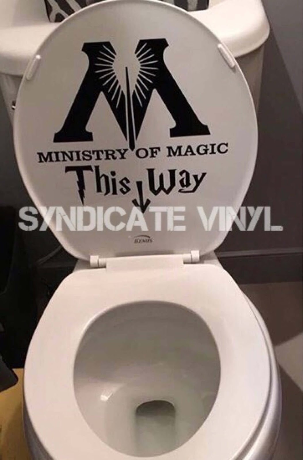 Ministry of Magic Toilet Decal