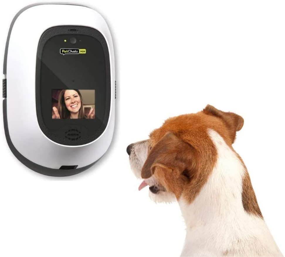 PetChatz HD PawCall