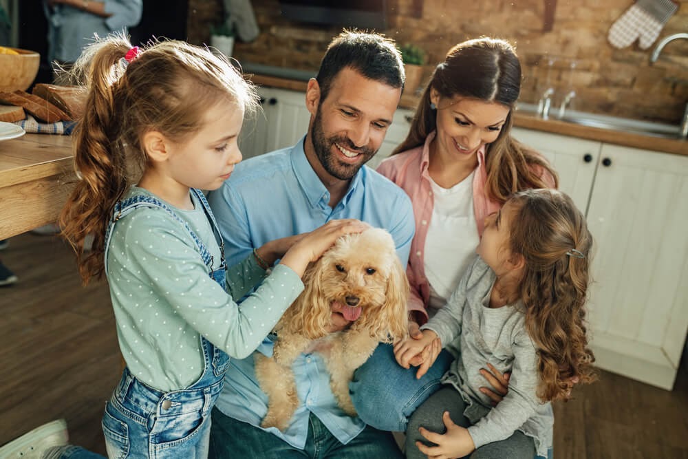 Family cuddling with their poodle mix in the kitchen