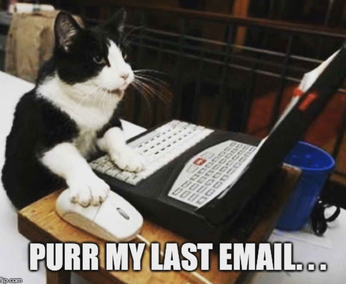 Purrr my last email meme